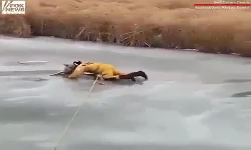 Köpeği Donmuş Gölden Kurtaran Güzel Kalpli İnsanlar