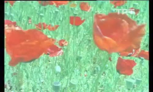 Akarsularımız Barajlarımız 4.Bölüm