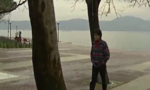 CANISI OMRUMUN YARISI