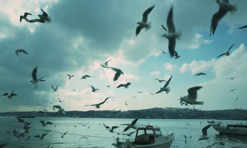 Hilal & Ferman Toprak - Söylesene Sevgili 