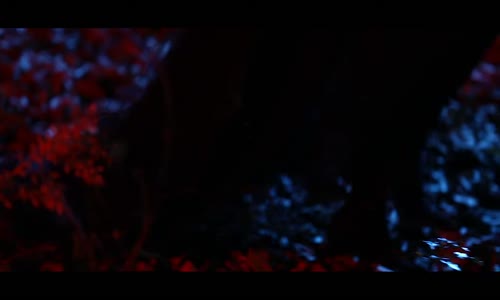 Beste Barkut - Sonu Yok