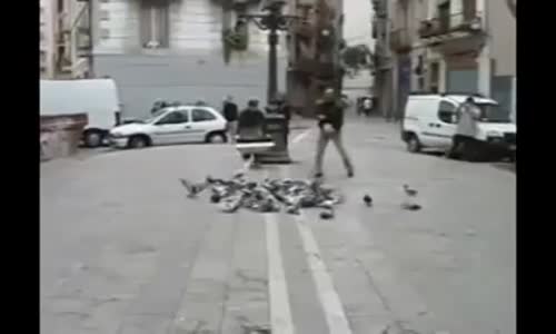 Güvercin Yakalama Da Son Nokta