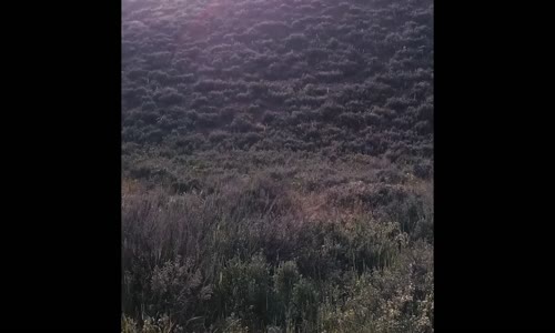 Kanye West - All Mine