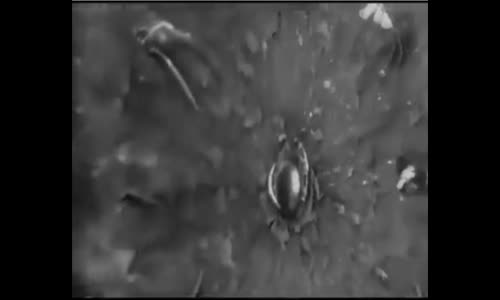 Silahtan Çıkan Merminin Hedefe Çarpma Anı