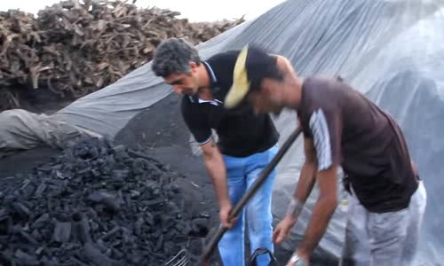 Mangal kömürü, saba kömürcülük 