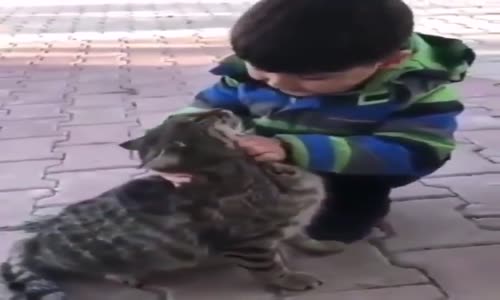Büyüyünce Kedi Olmak İsteyen Ufaklık 