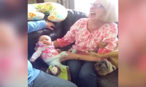 Köpeğin Kendini Bebek Zannetmesi