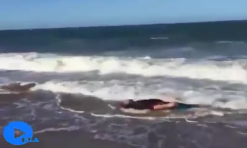 Hahaha çok güldüm