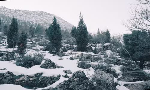 Mustafa Vural - Beklenen Günler Baharlar Var