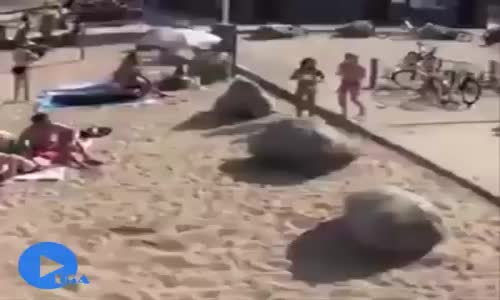 Gülmekten karnıma ağrılar girdi :)