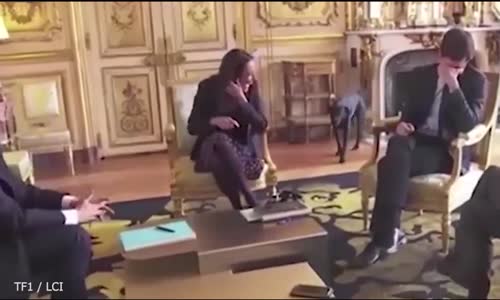Macron'un Köpeği Bakanlar Toplantısında Kahkahaya Boğdu
