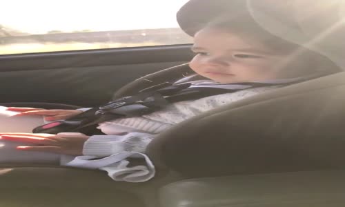 Uptown Funk Şarkısında Coşmak İçin Ritmi Bekleyen Minnoş