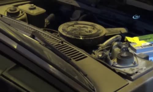 Yılana Biber Gazı ile Müdahale Eden Yurdum İnsanı