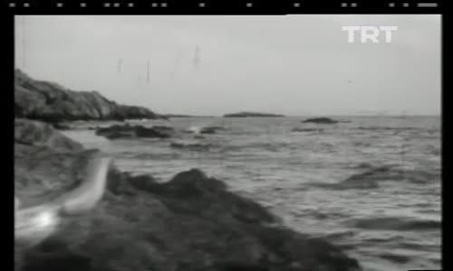 Seyyal Taner-Düşenin Dostu Olmaz