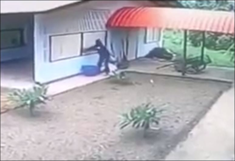 Şaşkın Hırsızın Kapısı Açık Olan Garaja Pencereden Girmesi