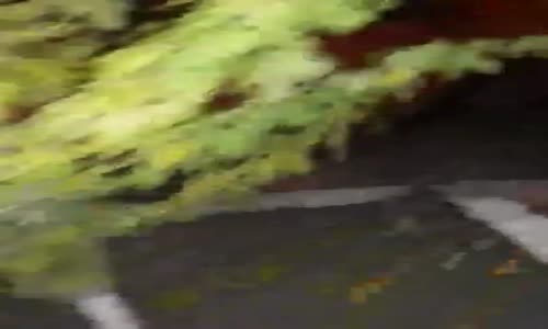 Kaza Yaptığından Haberi Olmayan Sarhoş Sürücü