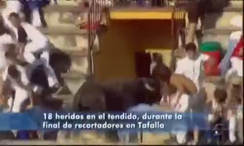 Kızgın Boğanın Tribündeki Seyircilere Dalması - Lagunta Güreşleri