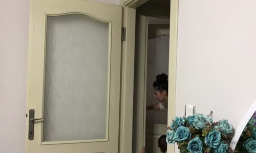 Şahangiller - Haftanın Videoları ( 20 - 27 Kasım )