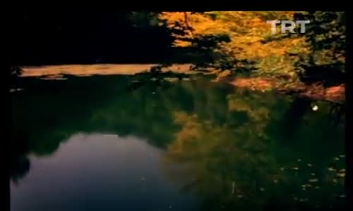 Görüntüler 8.Bölüm İzle 