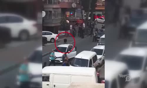 Anestezi Etkisinden Çıkan Köpek 3 Kişiyi Yaraladı