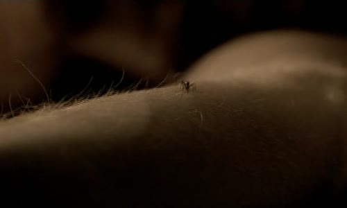 Dexter