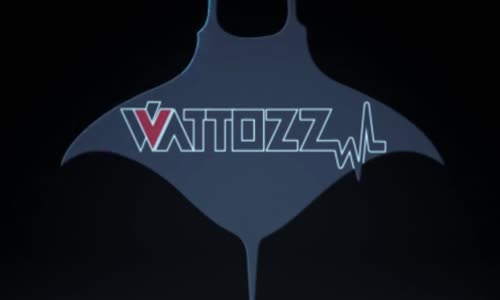 WATTOZZ WIRELESS ELECTROSHOCK WEAPON