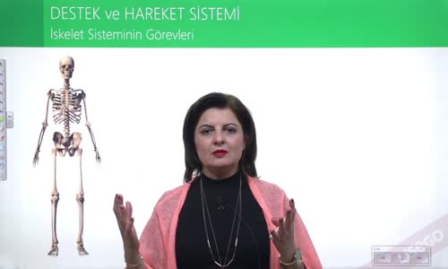 EBA BİYOLOJİ LİSE - DESTEK VE HAREKET SİSTEMİ; KEMİK DOKU VE EKLEM ÇEŞİTLERİ - İSKELET SİSTEMİNİN GÖREVLERİ