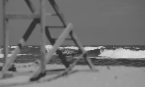 Sibel Can Tamam O Zaman