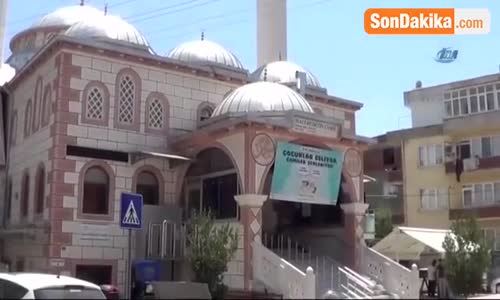 Torunlarıyla Oynarken Arı Soktu, Kalp Krizi Geçirip Yaşamını Yitirdi