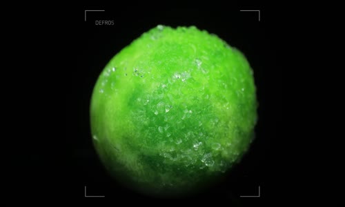 Dondurulmuş Meyve ve Sebzelerin Huzur Veren Erimesi