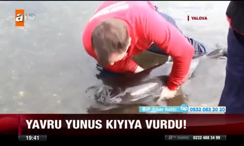 Yunusu Kurtarmak İçin Suni Teneffüs Yaptılar