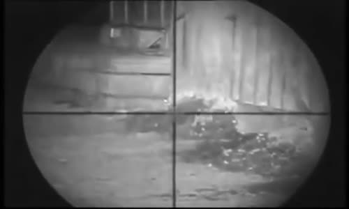 Huzur Veren Havalı Tüfekle Fare Avı