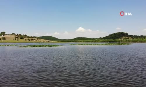Doğa güzelliği Yayla Gölü hassas koruma alanı ilan edildi 