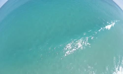 Maceraprestlerin Drone İle Köpekbalığı Yakalaması