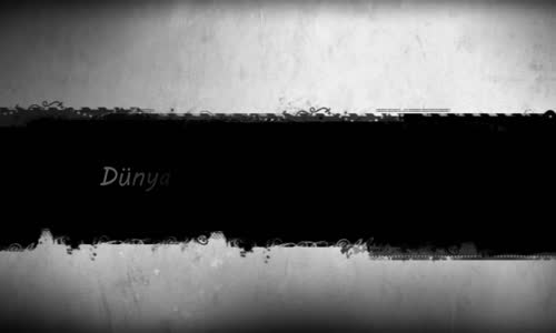 Dünyanın En küçük 10 Hayvanı