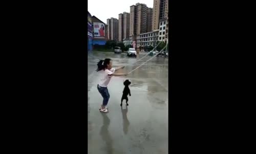 Sevimli Köpeğin İp Atlaması