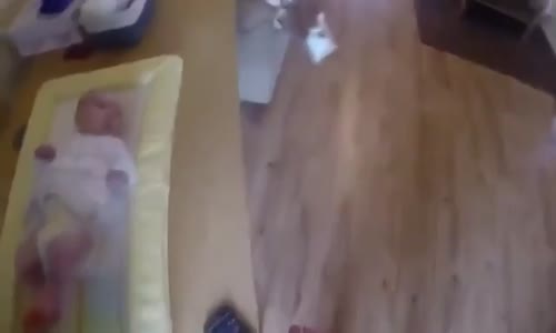 Sahibine Yardımcı Olan Köpek