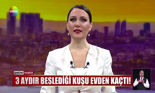 3 aydır beslediği kuşu evden kaçtı! 