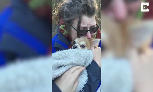 Ormanda Kaybettikleri Köpeği Bulan Ailenin Mutluluğu