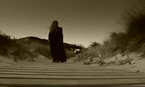 Zeynep Casalini - Nilüfer