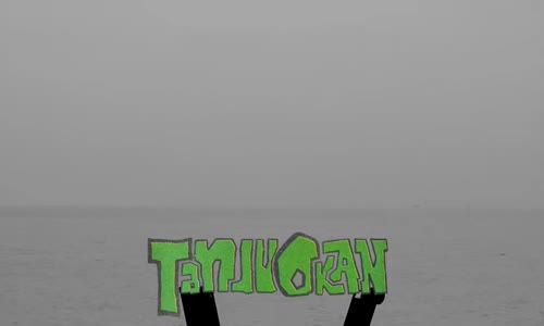 Tanju Okan - Hayal Olmuşsun