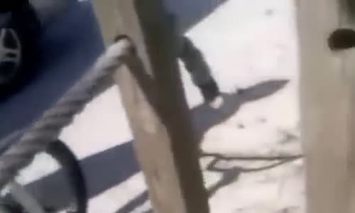 Acımasız Kız Kavgası-6