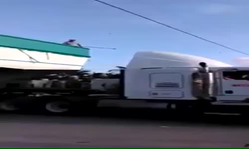 Yeterli planlama ve bilincin olmaması faciaya neden oluyor