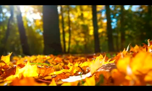 Türk Sanat Müziği - Eskimeyen Şarkılar