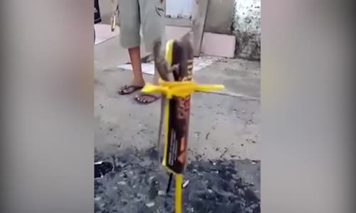 Kertenkeleyi Uzaya Yollayan Çılgın Çocuklar