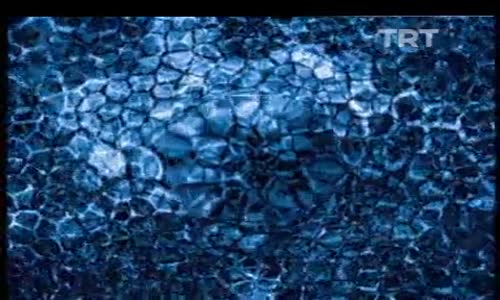 Ayna'dan Yansıyanlar 17.Bölüm İzle