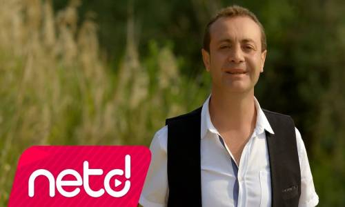 Ali Kurtuluş Şaylı - Dambaşı