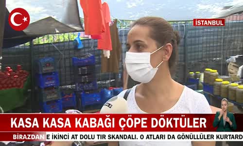 İstanbul Ataşehir Halinde Çalışan Bir Şahıs Kasa Kasa Kabağı Çöpe Döktü! İşte Görüntüler