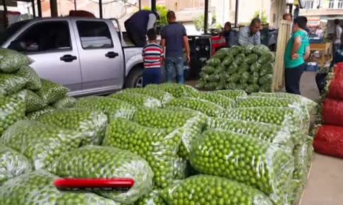 Kısa Süre Fiyatı 400 Lira Olan Erik Şimdi 7 TL 