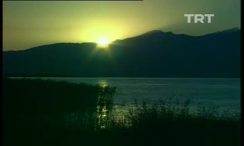 Anadolu Çiçekleri 7.Bölüm İzle